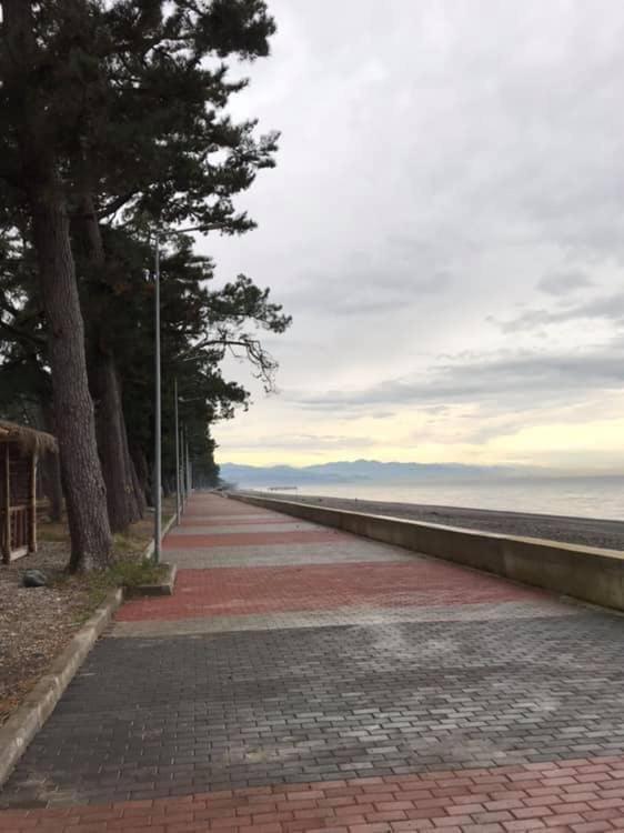 Guest House "Sulo" Kobuleti Exterior photo